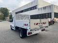 Iveco Daily MASTER 2.3dCi 165CV * RIBALTABILE *RUOTE GEMELLATE Bianco - thumbnail 7