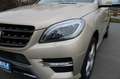 Mercedes-Benz ML 350 BE AMG Line Navi Bi-Xen 4xSHZ Kamera AHK Бежевий - thumbnail 6