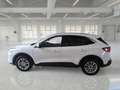 Ford Kuga 2.5 Benzina FHEV 190CV 2WD Titanium Business Aut - thumbnail 5