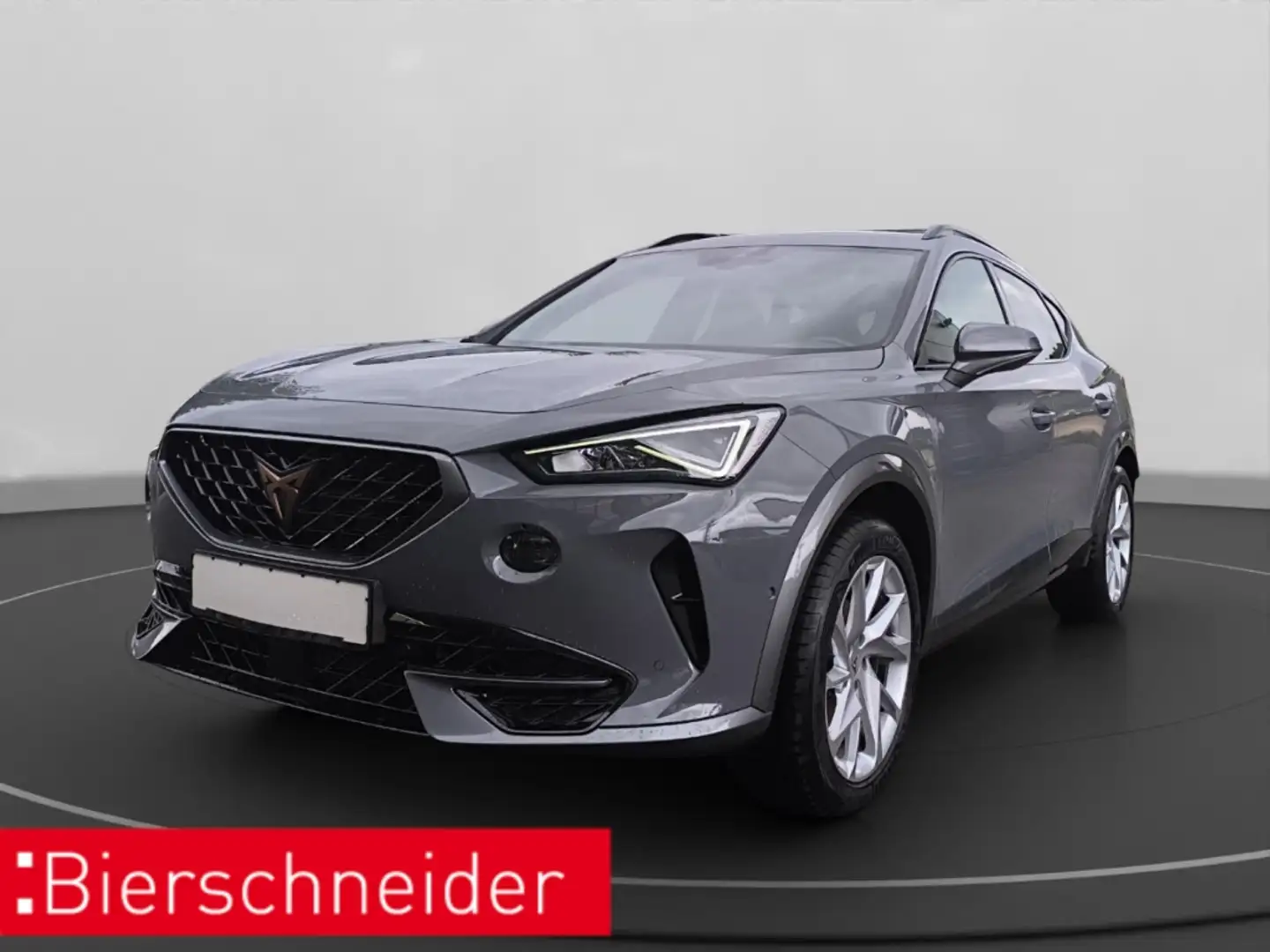 CUPRA Formentor 1.4 TSI e-Hybrid DSG NAVI KAMERA LED Grau - 1
