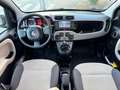 Fiat Panda Panda 1.2 Easy 69cv GPL 5 Posti crna - thumbnail 16
