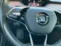 Skoda Enyaq 80x ecoSuite HUD AHK Panod 360 Navi Leder Digitale Silber - thumbnail 22
