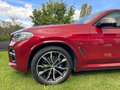 BMW X4 M 40d VOLL IndiviBrilli met VOLL 360‘ STHZ AHK 2x2 Rood - thumbnail 7