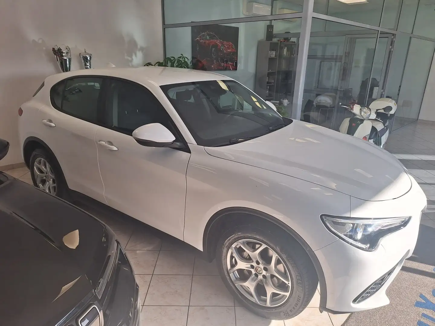 Alfa Romeo Stelvio 2.2 t Business Q4 190cv auto Alb - 2
