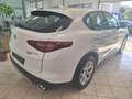 Alfa Romeo Stelvio 2.2 t Business Q4 190cv auto Alb - thumbnail 4