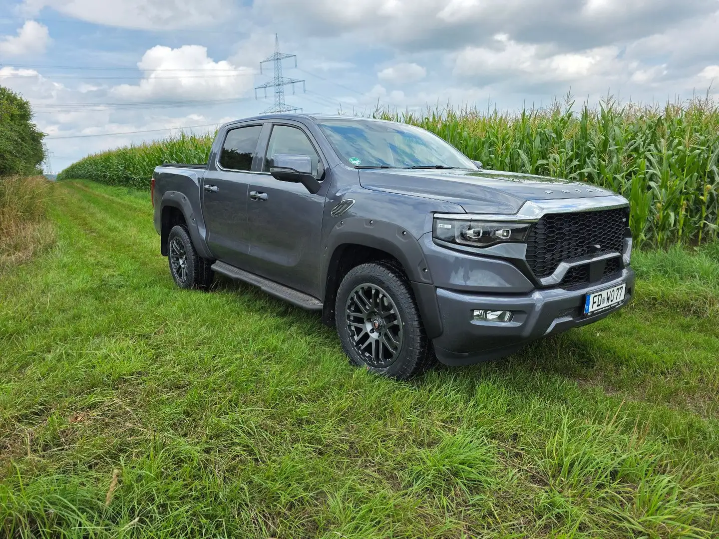 Foton Foton 4 Pick-Up 4x4 Grau - 1