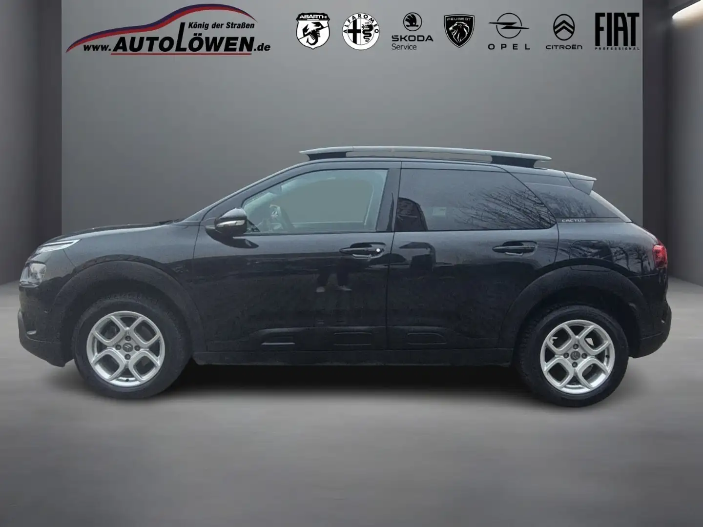 Citroen C4 Cactus 1.2 PureTech 130 Shine S&S (EURO 6d) Noir - 2