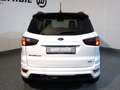 Ford EcoSport *Allrad* ST- Line Obsidian Schwarz Blanc - thumbnail 18