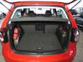 Volkswagen Golf Plus 1.6 TDI PARKSENSOREN+2-ZONEN-KLIMA Rosso - thumbnail 16