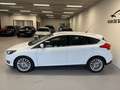 Ford Focus 1.5 TDCI Titanium Edition DEALERONDERHOUDEN/PDC/NA Wit - thumbnail 6