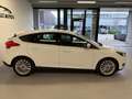Ford Focus 1.5 TDCI Titanium Edition DEALERONDERHOUDEN/PDC/NA Wit - thumbnail 7