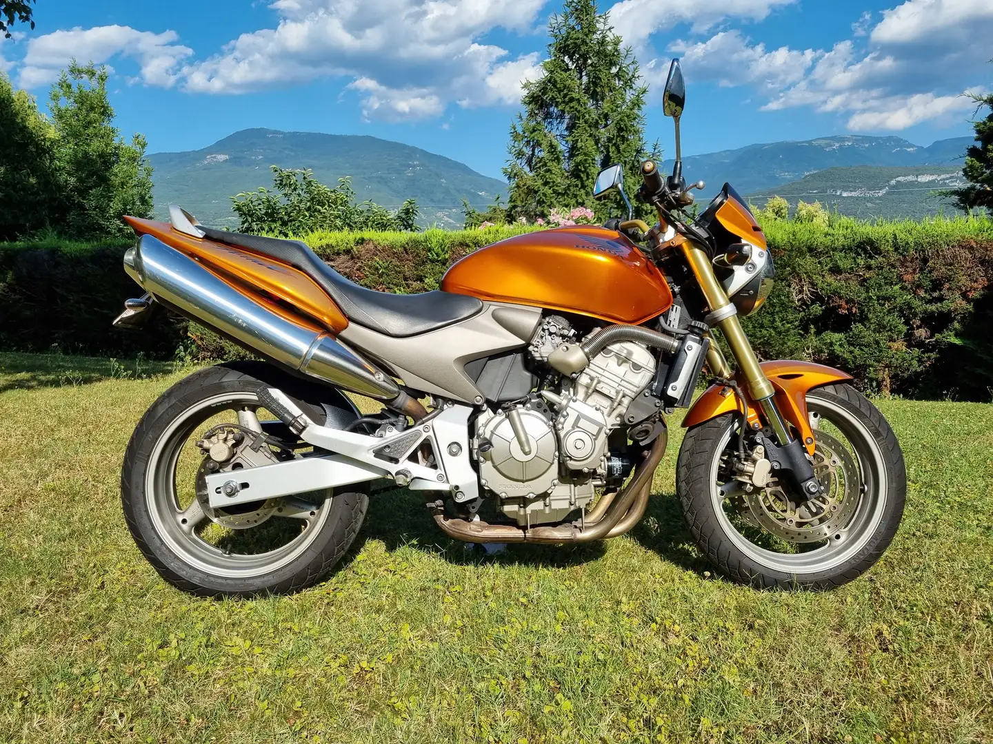 Honda Hornet 600 Orange - 1