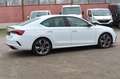 Skoda Octavia RS HeadUp Standheizg 4xSitzheizg CarPlay Blanc - thumbnail 6