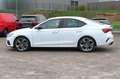Skoda Octavia RS HeadUp Standheizg 4xSitzheizg CarPlay Blanc - thumbnail 3