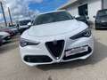 Alfa Romeo Stelvio 2.2 t Super rwd 180cv auto Bianco - thumbnail 3