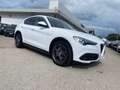 Alfa Romeo Stelvio 2.2 t Super rwd 180cv auto Bianco - thumbnail 2