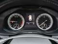 Skoda Kodiaq Tour 2.0TDI DSG LED Navi 360° Pano AHK 7S Blau - thumbnail 16