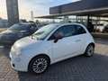 Fiat 500 1.2 Lounge|Pano|Airco|Goed Onderhouden Weiß - thumbnail 2