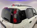 Fiat Panda Cross Wit - thumbnail 21