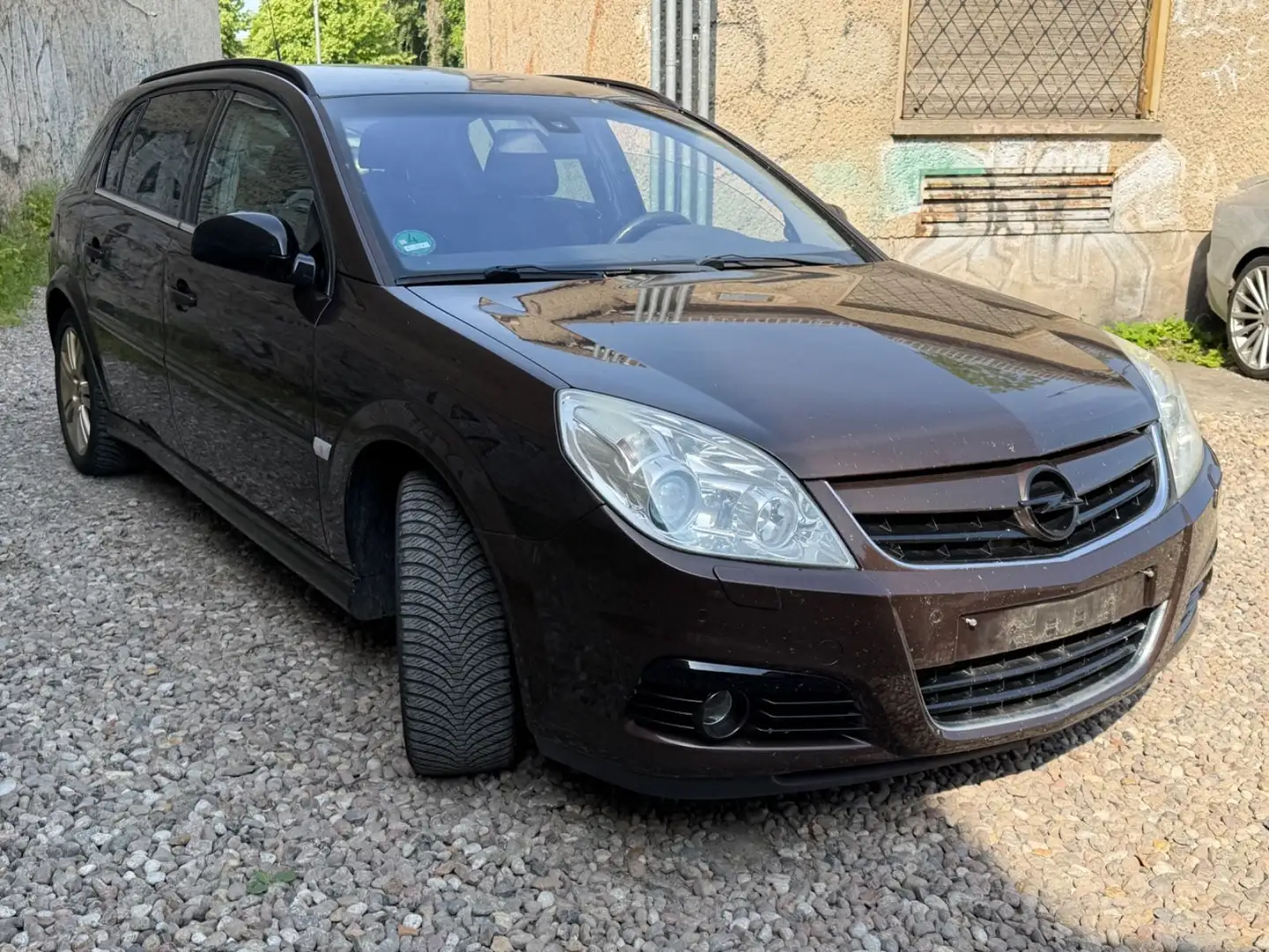 Opel Signum Edition Braun - 2