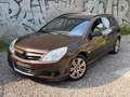 Opel Signum Edition Braun - thumbnail 1
