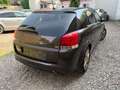 Opel Signum Edition Braun - thumbnail 4