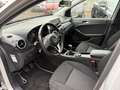 Mercedes-Benz B 180 Ambition AIRCO CRUISE PDC TREKHAAK Gris - thumbnail 7