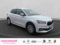 Skoda Fabia 1.0 EU6e Selection 59 kW   Winter-Paket Plus  Clim Weiß - thumbnail 8