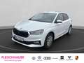 Skoda Fabia 1.0 EU6e Selection 59 kW   Winter-Paket Plus  Clim Weiß - thumbnail 1