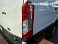 Ford Connect Comercial Transit 350 96kW L4H3 Van Trend Blanco - thumbnail 19