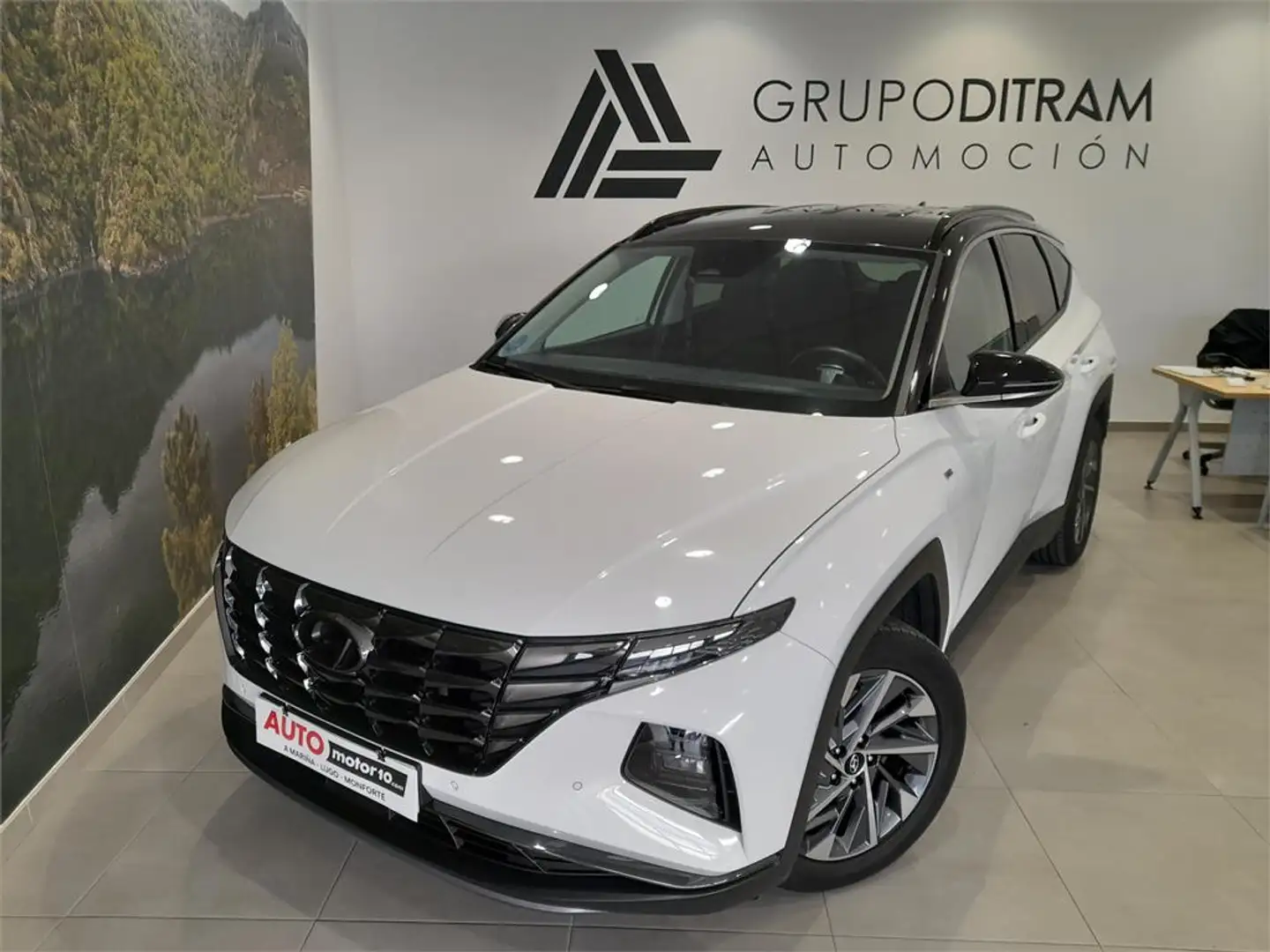 Hyundai TUCSON 1.6 CRDI 100kW (136CV) 48V Tecno DCT 2C - 2