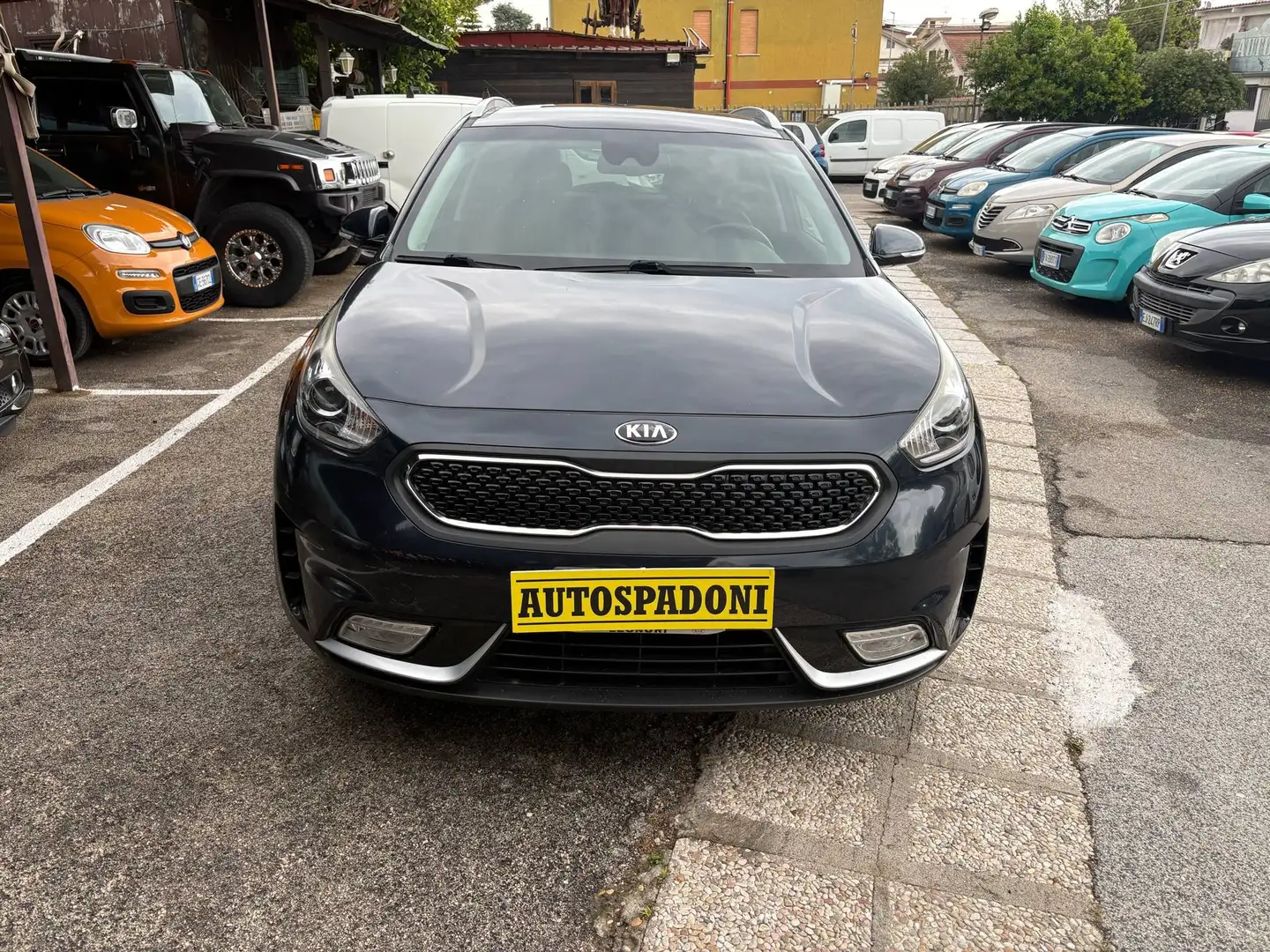 Kia Niro 1.6 gdi hev Energy dct Bleu - 2