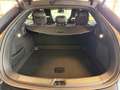 BYD Sealion 7 Excellence AWD Schwarz - thumbnail 16
