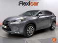 Lexus NX 300 300h Business 2WD Gris - thumbnail 3
