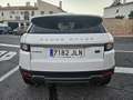 Land Rover Range Rover Evoque 2.0eD4 SE 2WD 150 Blanco - thumbnail 24