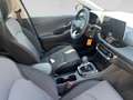 Hyundai i30 - PD Smart Line 1.0 T-GDI c6ks1-PP5 Grün - thumbnail 21