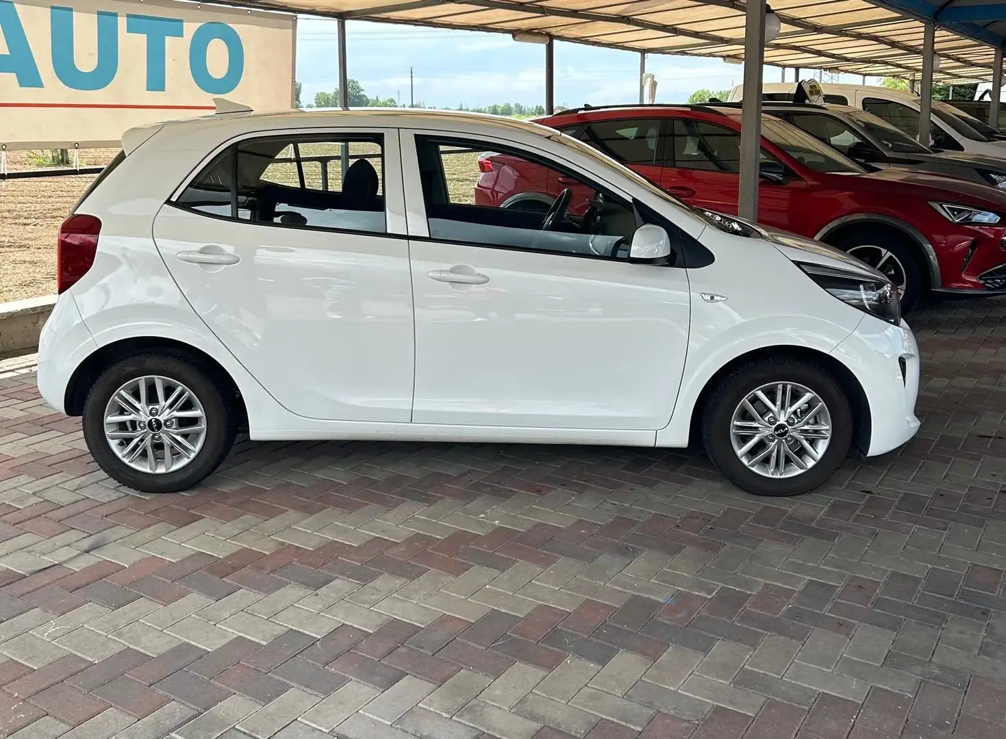 Kia Picanto 1.0 12V 5 porte X Line Fehér - 2