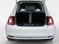 Fiat 500 BERLINA CON PORTON 1.2 120TH ANIVERSARIO S&S 69 3P Blanco - thumbnail 10