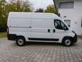 Fiat Ducato L2H2[MOTOR NEU/1. HAND/GARANTIE/AUTOM.] Blanc - thumbnail 4