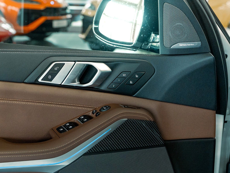 BMW X5 50e M Sport Sky AHK HK Memo Braun — photo 10