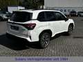 Subaru Forester 2.0 ie 100kW AWD Platinum Weiß - thumbnail 3