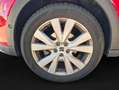 SEAT Arona Xperience 1.0 TSI 115 ProPaket WinterP 85 kW (1... Rot - thumbnail 13