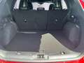 Ford Kuga 2.5 PHEV ST-LINE X*FAHRERASSIS*TECHNOPKT*PANODACH Rouge - thumbnail 7
