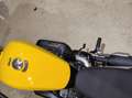 Yamaha XV 950 Racer Edizione 60th Anniversary (livrea Giallo) Giallo - thumbnail 4