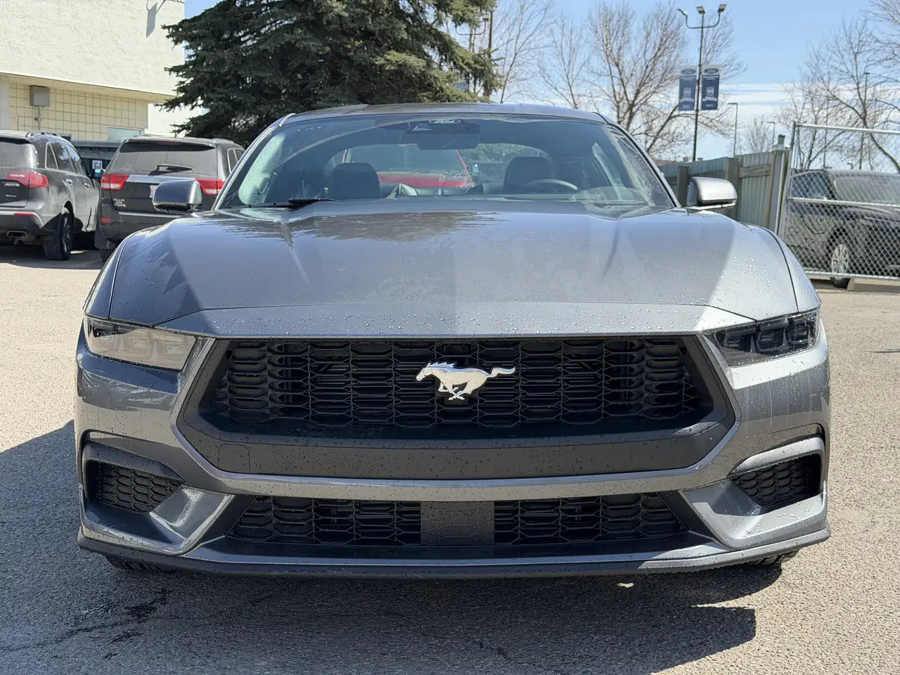 Ford Mustang снимка Ford Mustang