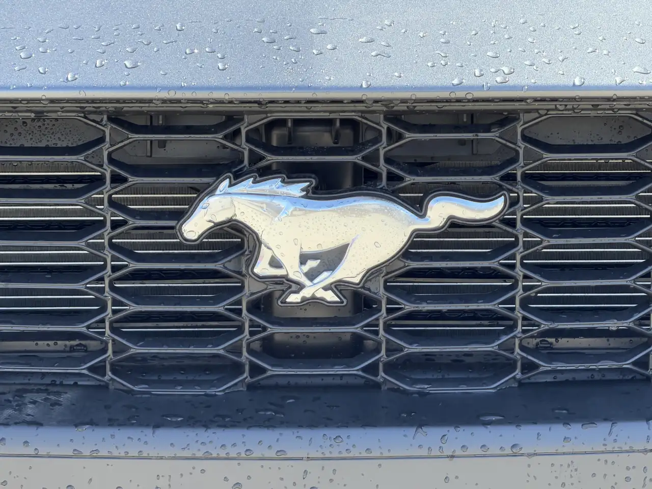 Ford Mustang снимка Ford Mustang
