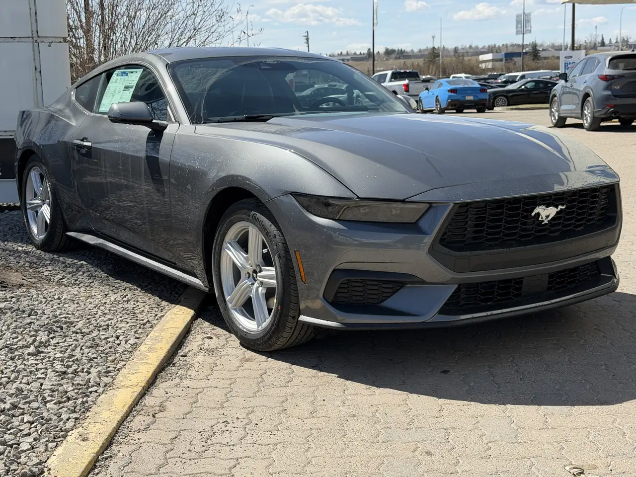Ford Mustang снимка Ford Mustang