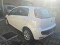 Fiat Punto Evo Punto III 2009 Evo 5p 1.3 mjt Active s Weiß - thumbnail 4