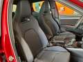 SEAT Arona 1.0 TSI S&S FR Special Edition DSG7 115 Rot - thumbnail 16