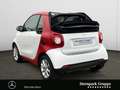 smart forTwo fortwo cabrio twinamic LED&Sensor*Cool&Audio*SHZ Weiß - thumbnail 3